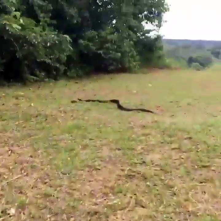kadındaki cesarete bak