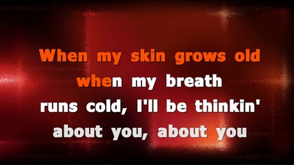 Rag'n'Bone Man - Skin KARAOKE / INSTRUMENTAL