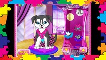 Puppy dog games #forkids. Pets Fashion Show. Cute #puppy game for babies HD