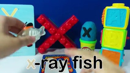 The Letter X Surprise Egg - X is for X-ray Fish
