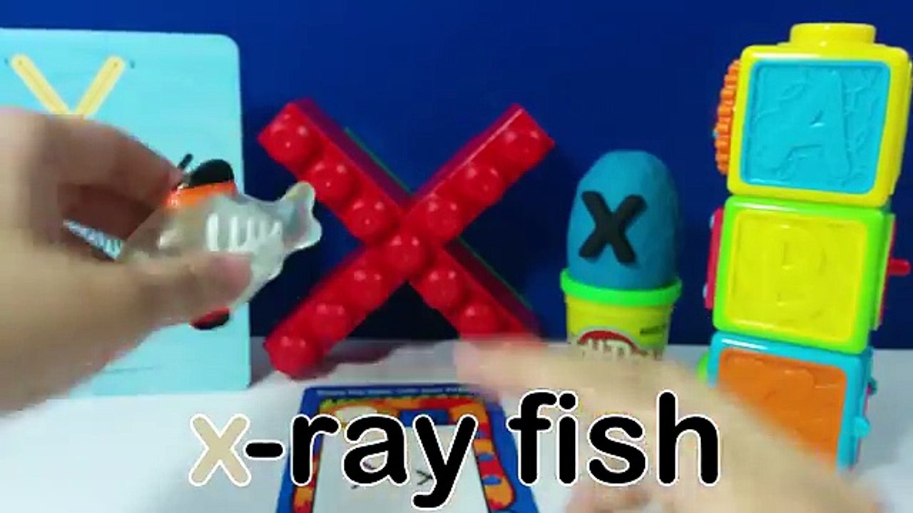 The Letter X Surprise Egg - X is for X-ray Fish