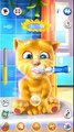 TALKING GINGER ANDROID GAMEPLAY - TALKING TOM AND FRIENDS - GAMES FOR KIDS