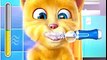 TALKING GINGER ANDROID GAMEPLAY - TALKING TOM AND FRIENDS - GAMES FOR KIDS