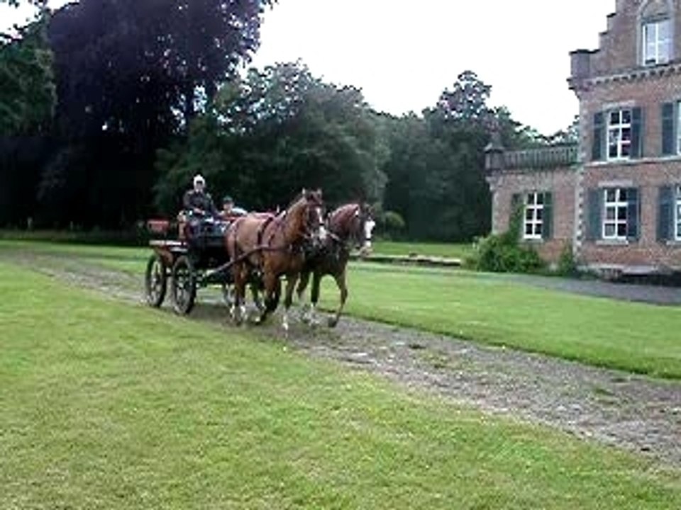 arrivée chateau attelage