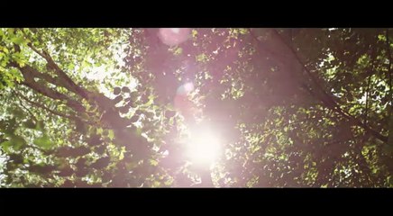 Programmation spéciale Saint Valentin - 14 février 2017