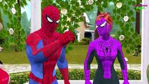 Spiderman Frozen Elsa Hulk Treasure Hunt | Spiderman Vs Joker | Spiderman Finger Family Rhymes