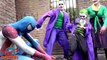 Bad Baby Joker vs Joker Mom TREASURE HUNT w/ Captain Spiderman | Bad Baby Joker and Joker Family! 4K