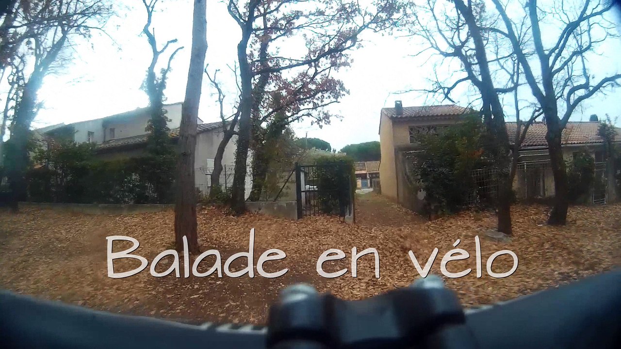 velo