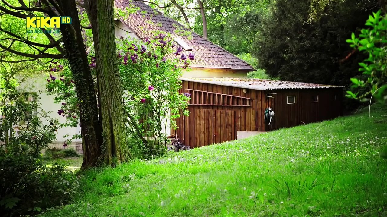 Schloss Einstein Folge 822