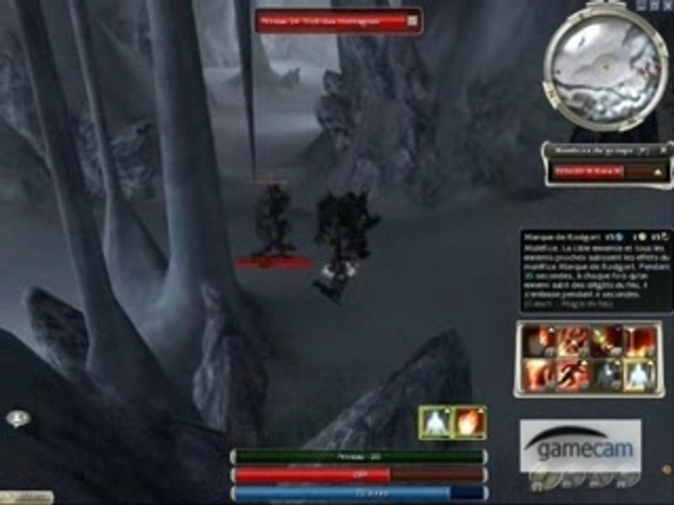 Guild wars build de brume