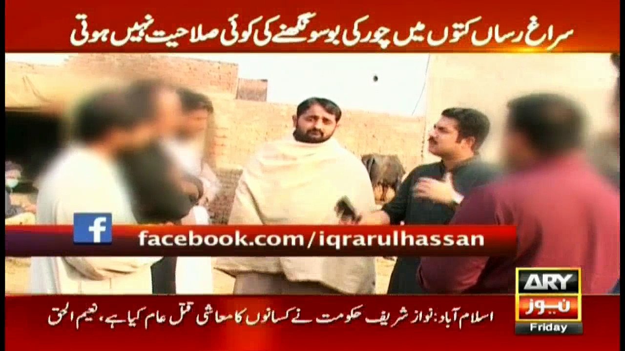 Sar-e-Aam team spies on ‘detective’ dogs to uncover their reality