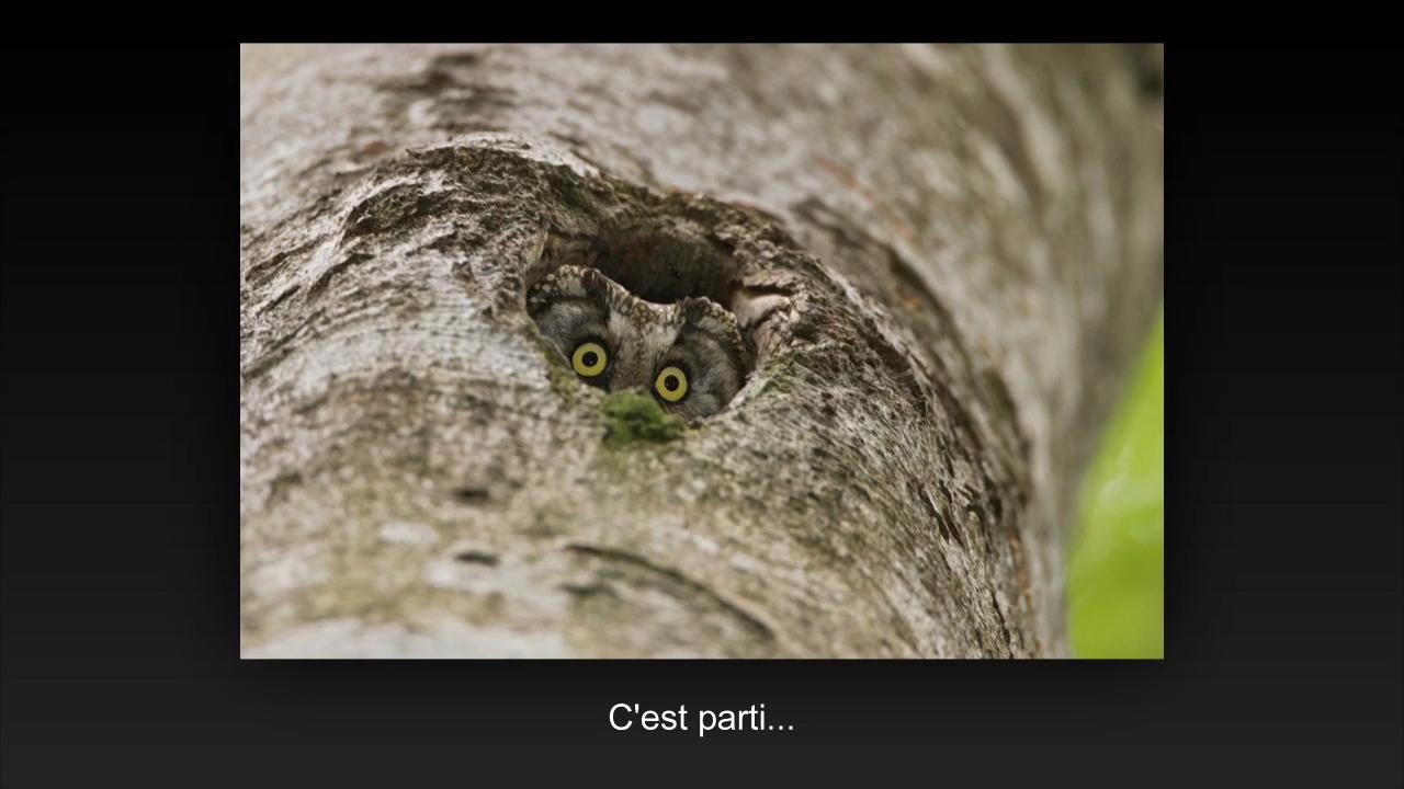 Une partie de cache cache