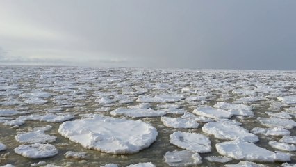 Glace de crêpe sur un lac congelé