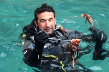 Zehirli Aslan Balığı Kemer'e Yerleşip Üremeye Başlamış