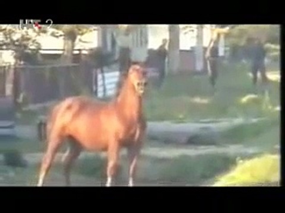 Гражданская война в Югославии.  Бои за Вуковар