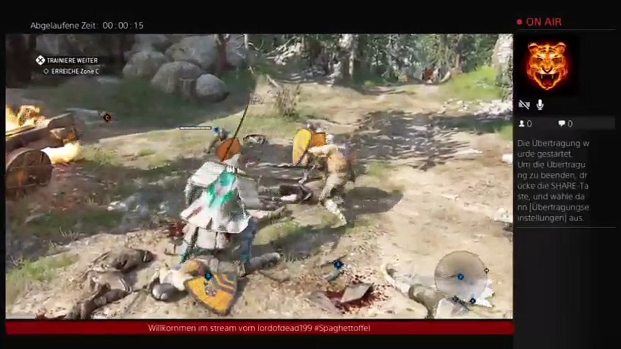 Eine lustige runde for honor (12)