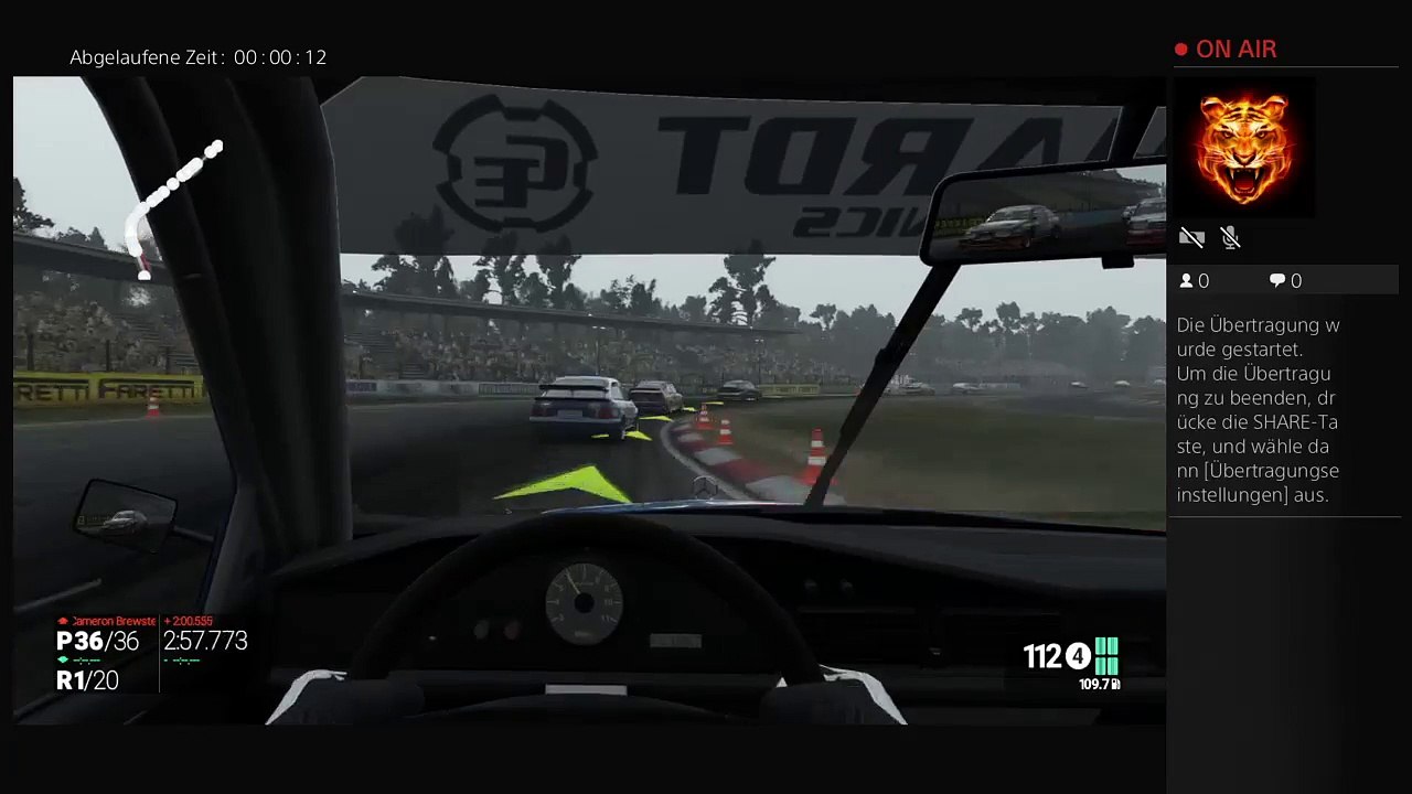 Projekt Cars Game Of The Year Edition (9)