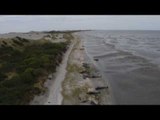 Hundreds of Whales Die After Becoming Stranded on New Zealand Beach