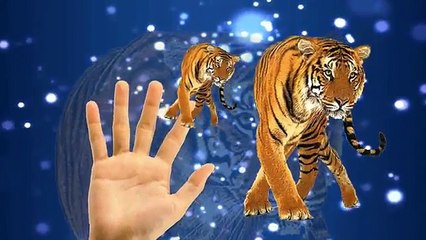 Animals Cartoons For Children Nursery Rhymes Finger Family | Animals Cartoons Finger Family