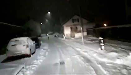 Un loup apperçut en pleine ville dans les rues de Bulle