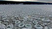 De la glace en forme de crêpes sur un lac gelé !