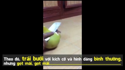 Clip gọt trái "bưởi siêu cùi" khiến bạn xem xong chỉ muốn "lạc trôi"