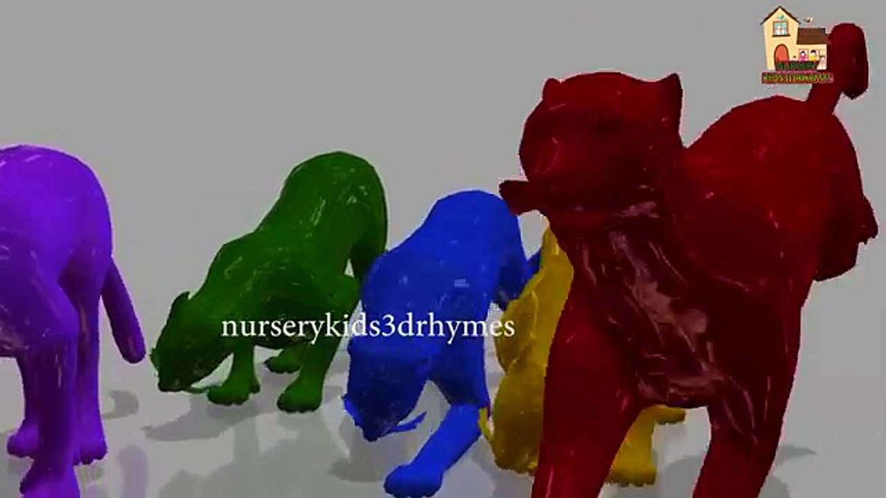 Colors Cheetah Tiger Lion for Children | Colors Song for Toddlers | Preschool Educational Videos
