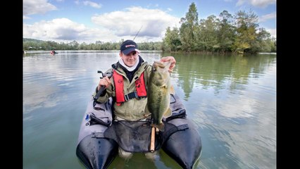 Carnassiers, tous à l'ouverture