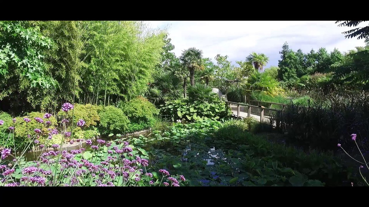 Découverte - Anjou grandeur nature