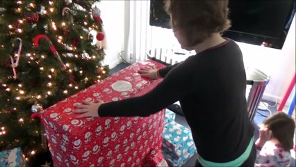 Merry Christmas to All Of You  )  Thank You to all the Cool Freaks  Victoria Annabelle Toy Freaks