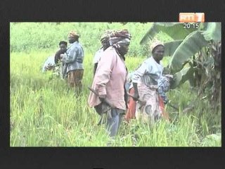 La Côte d'Ivoire beneficie d'un prêt de 17 Milliards de la BOAD