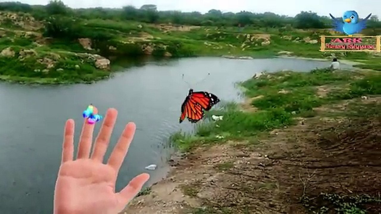 Amazing Deer Finger Family Song | Ark Nursery Rhymes | Animals Butter Fly Finger Family Kids Songs