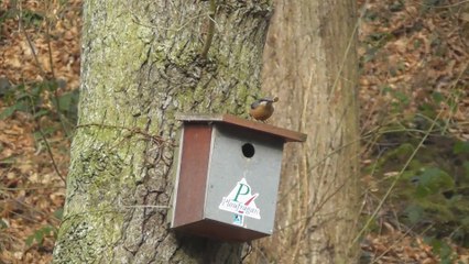 la vallée du Goëlo 10 février 2017