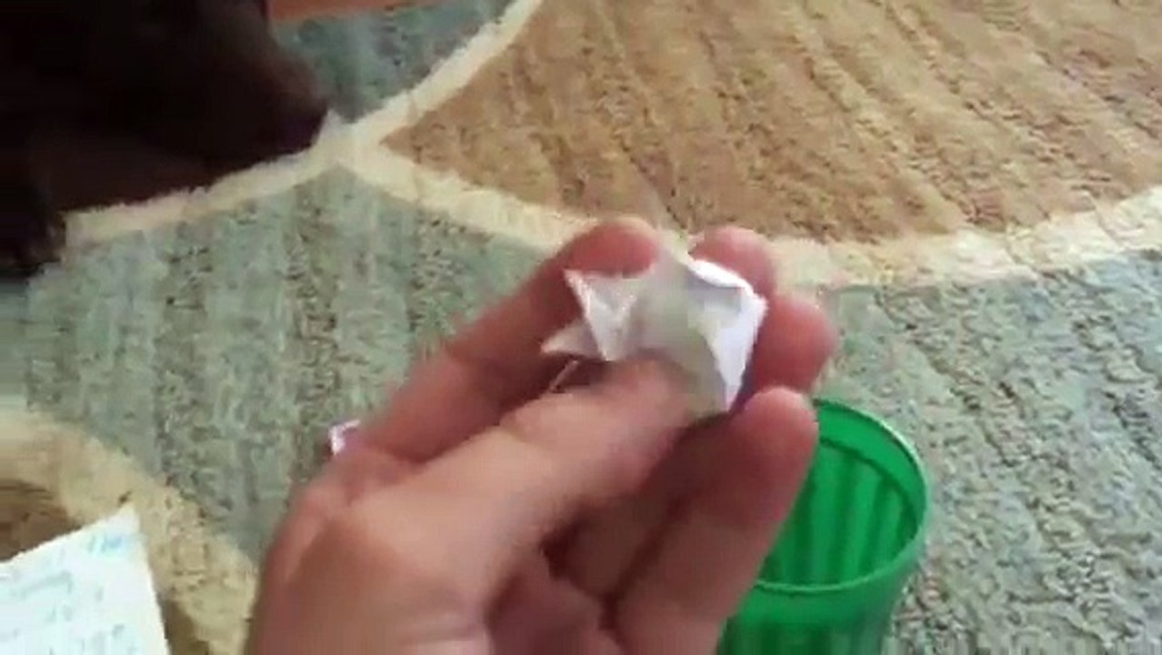 Contest #7(last contest)+ Contest #6 winner (closed)!