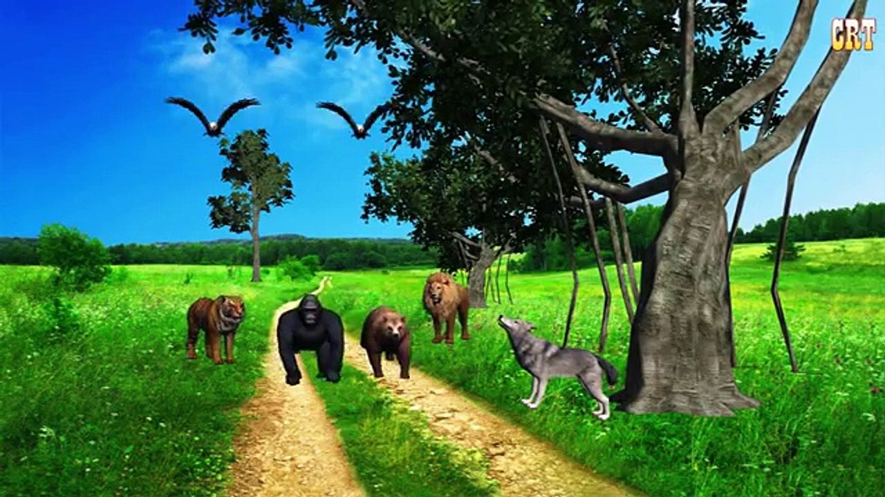 Finger Family Rhymes For Children Crazy Gorilla And Tiger Finger Family