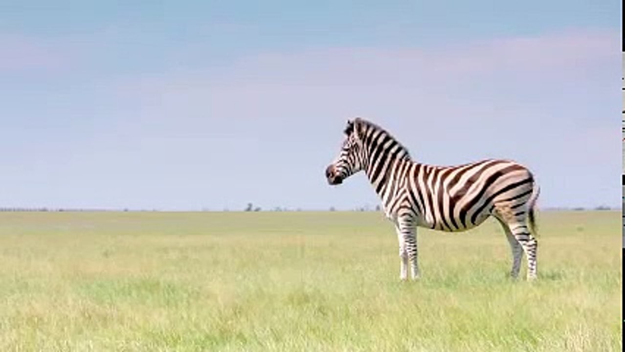 High Performance Coaching Berlin - Business NLP Berlin - NLP Coaching - NLP Erfa