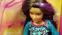 Mattel - Barbie Sisters / Siostry Barbie - Safari Skipper Doll / Skipper na Safari