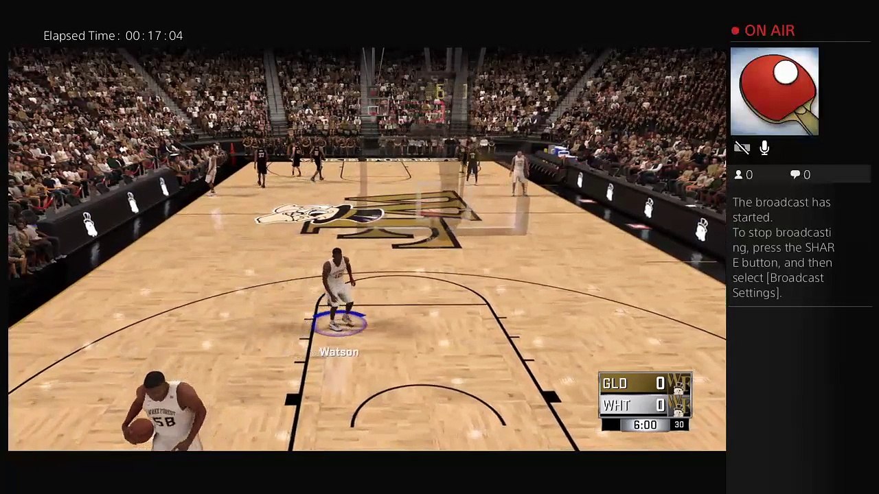 2k17 with cousin (40)