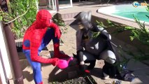 Spiderman & Spider Baby VOODOO vs Frozen Elsa w/ Batman & Deadpool Superheroes in Real Life