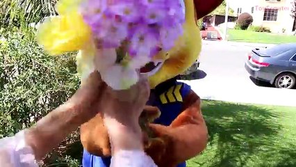 Princess Rapunzel vs Syringe! w/ Minnie Mouse, Spiderman, The Witch & Paw Patrol Marshall IRL