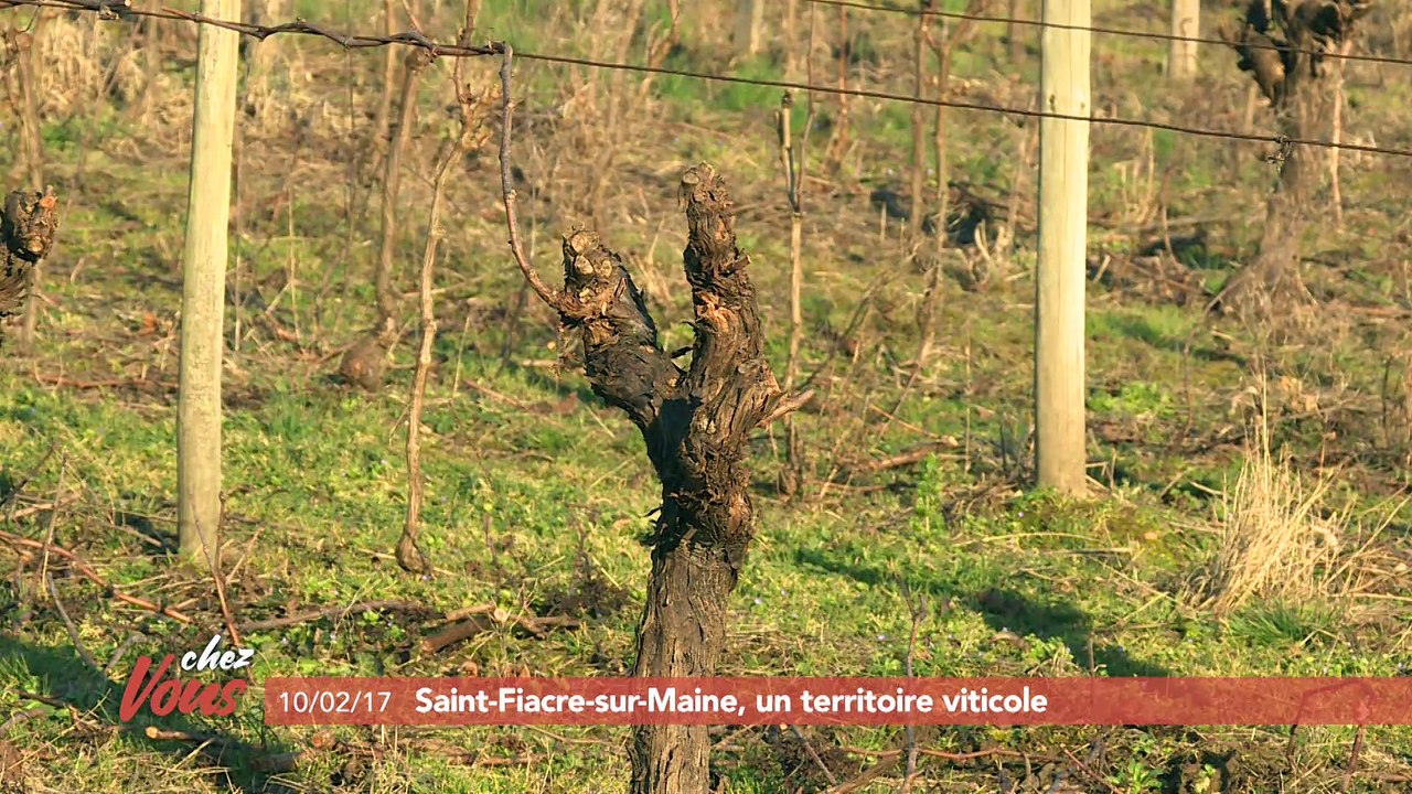 Chez vous à Saint-Fiacre-sur-Maine #5