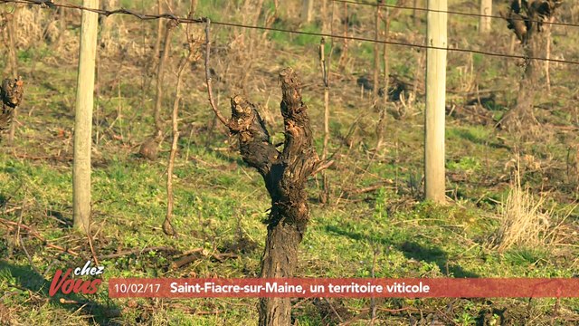 Chez vous à Saint-Fiacre-sur-Maine #5