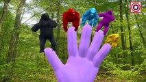 Color Animals Compilation | Colors Gorilla Finger Family Songs | Animal Fights & Battles Short Movie