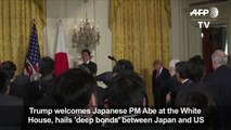 Trump welcomes Japanese PM Abe at the White House