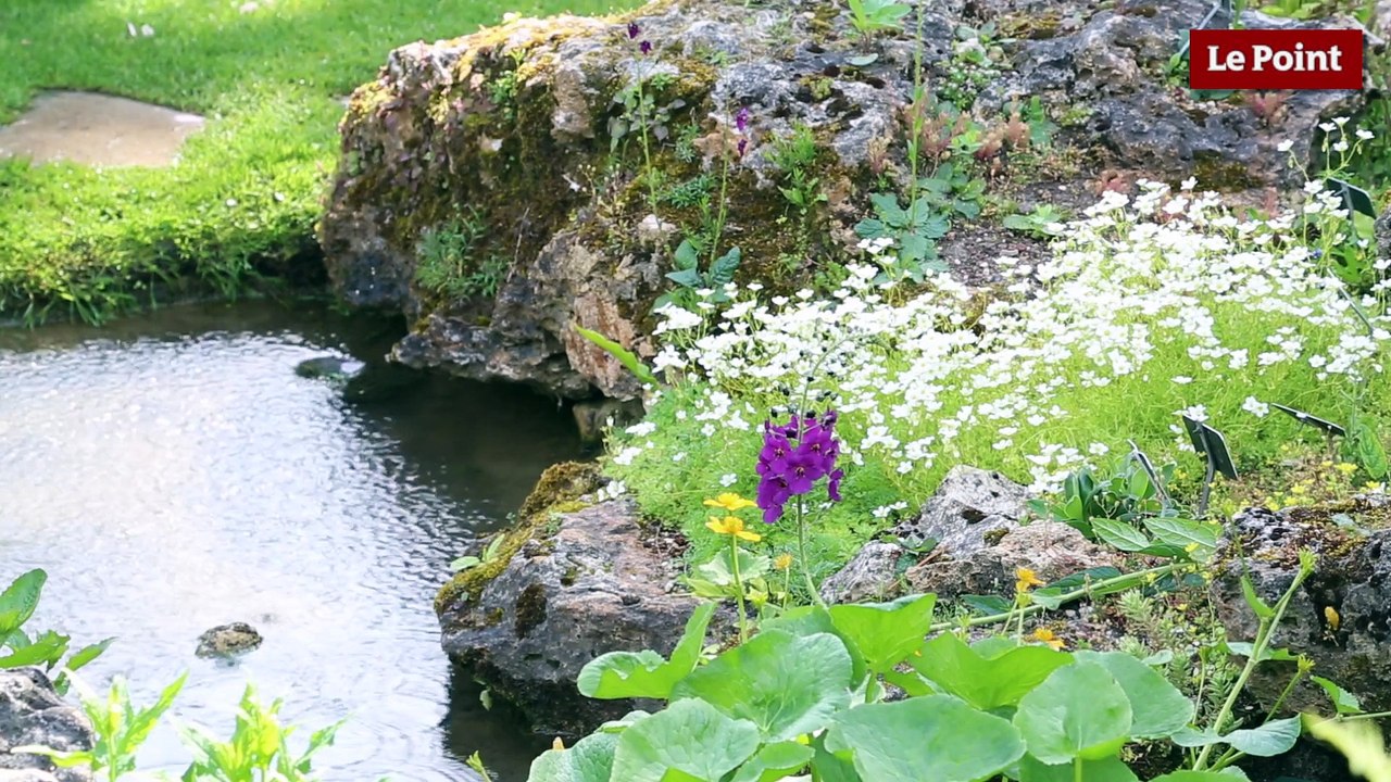 Les jardins secrets de Paris #3 : Le jardin alpin