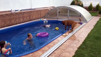 Cute And Funny Animals - A Funny Animal Videos Compilation September 2016