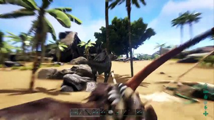 Video    detente   [FR] (37)