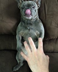 Stop The Tickles