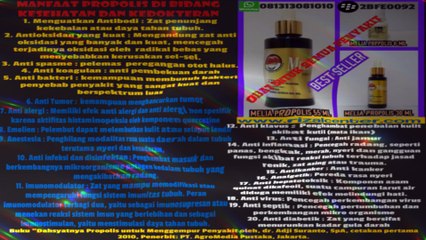 Manfaat propolis untuk kesehatan dan kedokteran