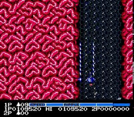 NES Longplay [327] Salamander